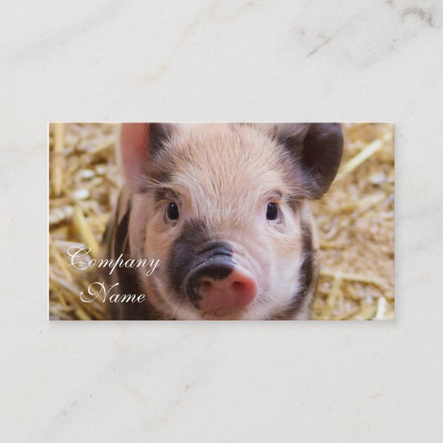 Piglet Business Card (Front)