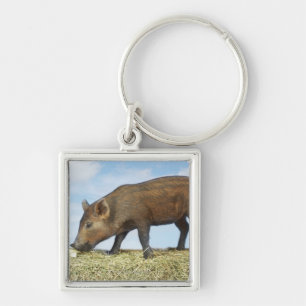 Piglet Eating Keychain