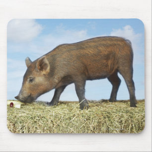 Piglet Eating Mouse Pad