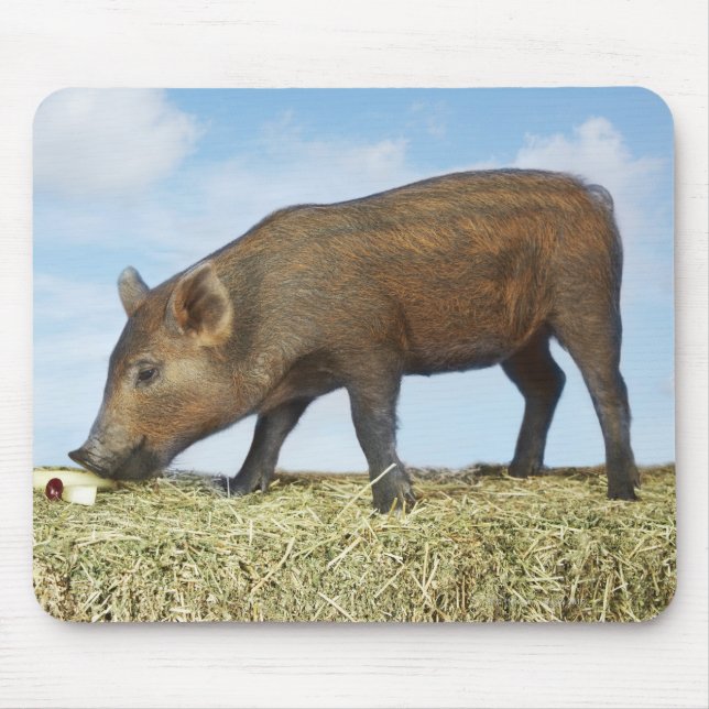 Piglet Eating Mouse Pad (Front)