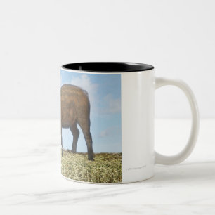 Piglet Eating Two-Tone Coffee Mug