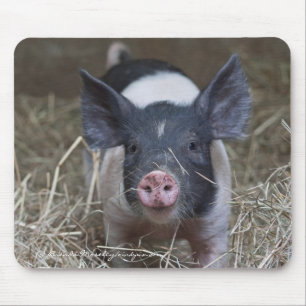 Piglet in Straw Mouse Pad