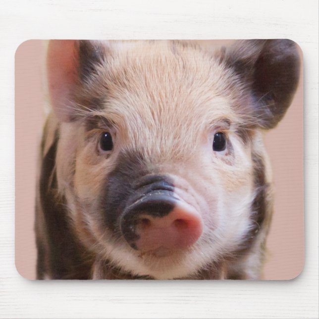 Piglet Mouse Pad (Front)