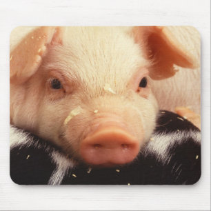 Piglet Pig Adorable Face Snout Mouse Pad