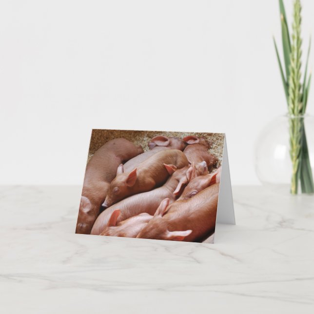 Piglet Pile Card (Front)