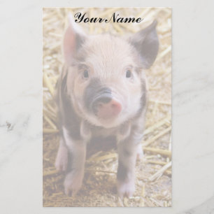 Piglet Stationery