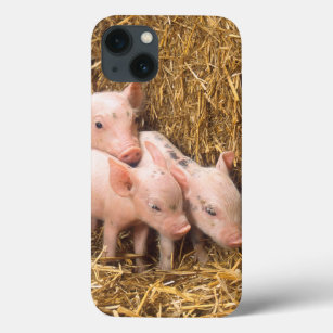 Piglets iPhone 13 Case