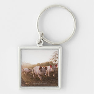 Piglets in Barnyard Keychain