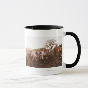 Piglets in Barnyard Mug