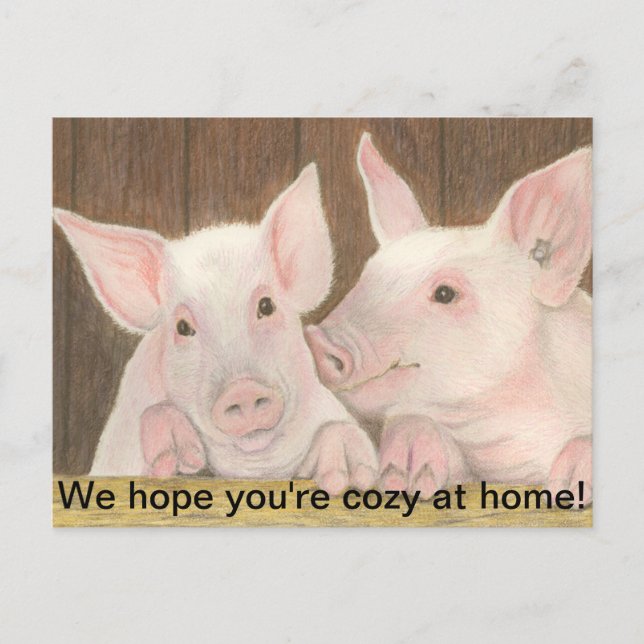 Piglets Postcard (Front)