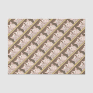Piglets Tissue Paper