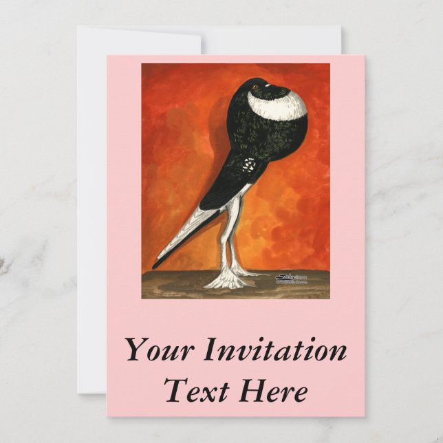 Pigmy Pouter Pigeon Black Pied Invitation (Front)