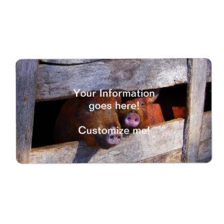 PigPen Pair Peeking Piggies