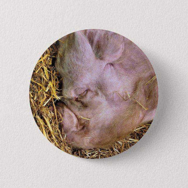 PIGS 2 INCH ROUND BUTTON (Front)