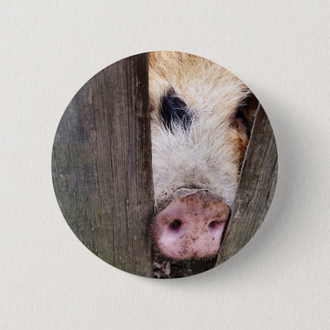PIGS 2 INCH ROUND BUTTON (Front)
