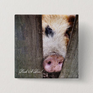 PIGS 2 INCH SQUARE BUTTON