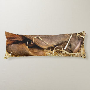 PIGS BODY PILLOW