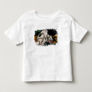 Pigs, c.1912 (oil on canvas) toddler t-shirt