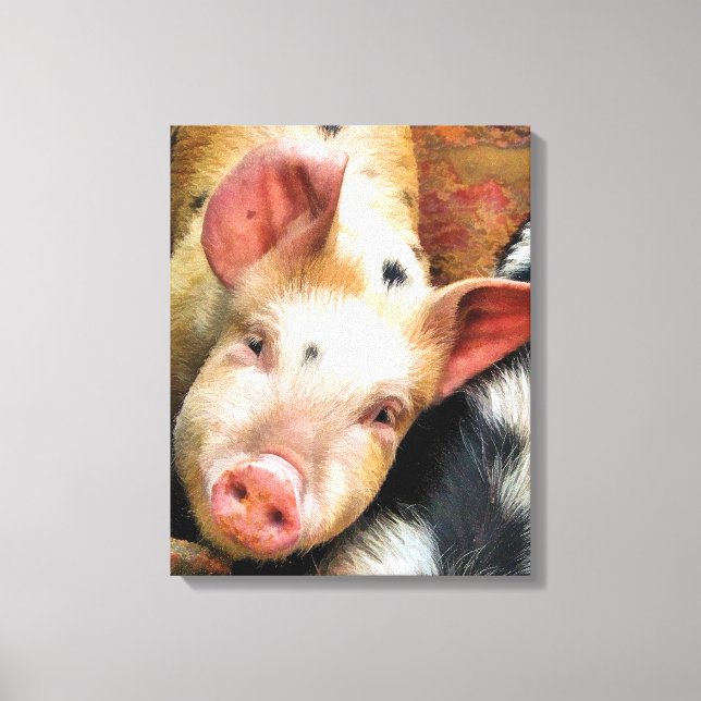 PIGS CANVAS PRINT (Front)