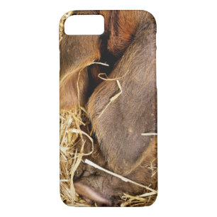 PIGS Case-Mate iPhone CASE