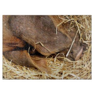 PIGS CUTTING BOARD