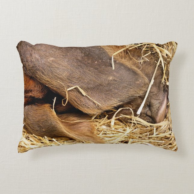 PIGS DECORATIVE PILLOW (Front)