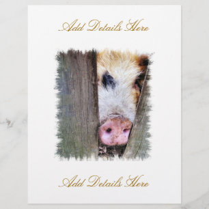 PIGS FLYER