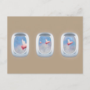 pigs flying past airplane windows postcard
