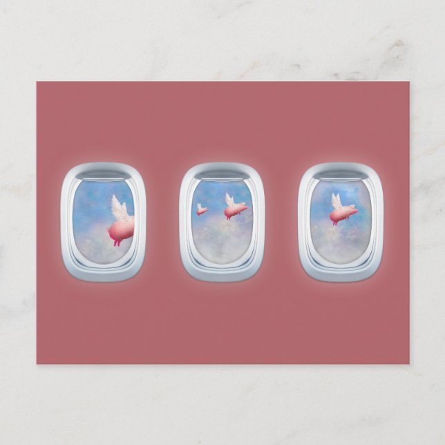 Pigs flying past airplane windows postcard (Front)