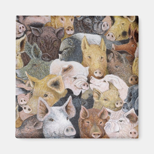 Pigs Galore Magnet (Front)