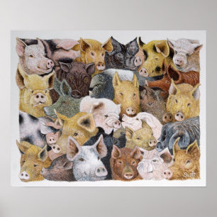 Pigs Galore Poster