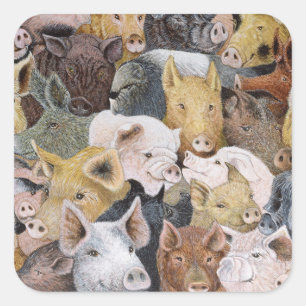 Pigs Galore Square Sticker