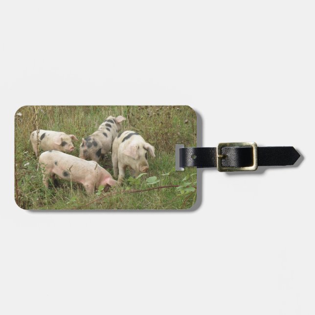 Pigs in a Field Custom Luggage Tag (Front Horizontal)