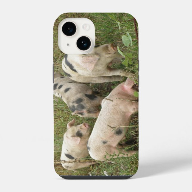 Pigs in a Field iPhone Case (Back)