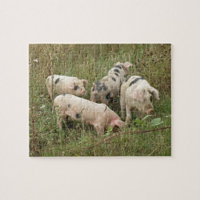 Pigs in a Field Puzzle (Horizontal)