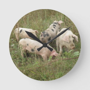 Pigs in a Field Wall Clock