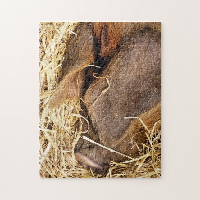 PIGS JIGSAW PUZZLE (Vertical)