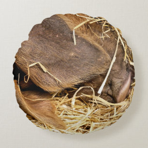 PIGS ROUND PILLOW