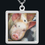 PIGS SILVER PLATED NECKLACE<br><div class="desc">This cute little pig just wants to say "Hi"! England UK.</div>
