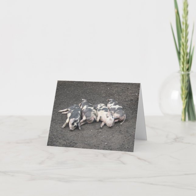 Pigs sleeping card (Front)