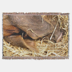 PIGS THROW BLANKET