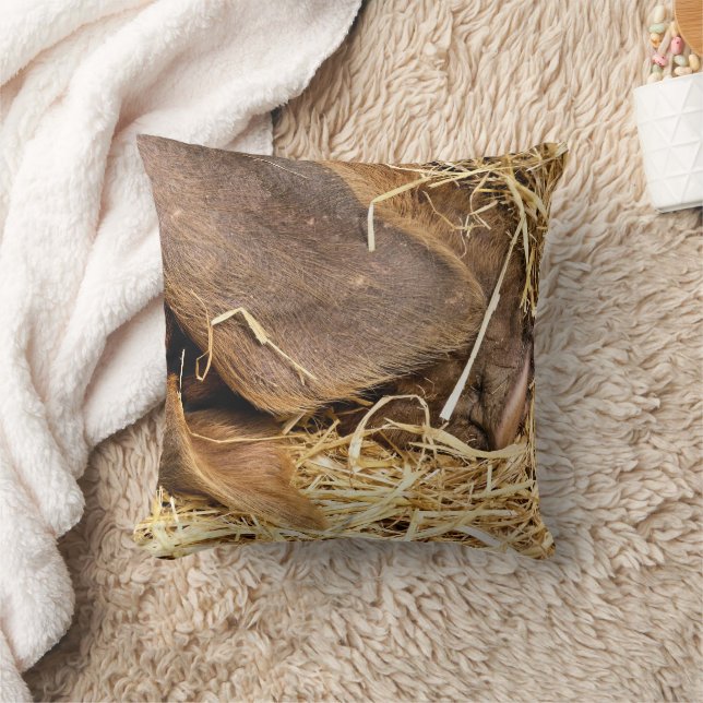 PIGS THROW PILLOW (Blanket)
