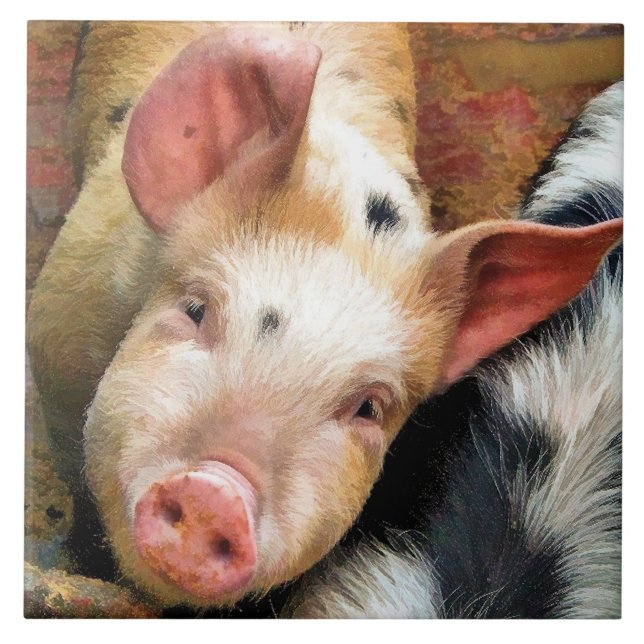 PIGS TILE (Front)
