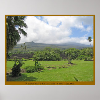 Pi'ilanihale Heiau at the Kahanu Garden - Maui Poster