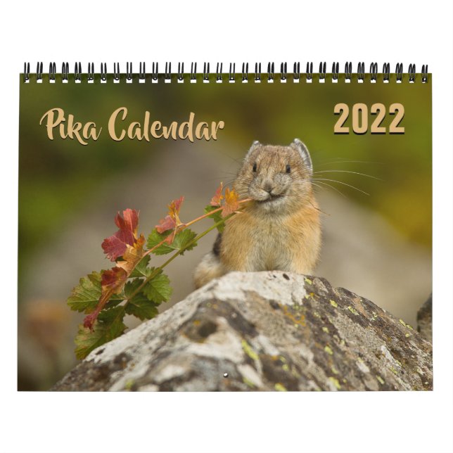 PIka 2022 Calendar (Cover)