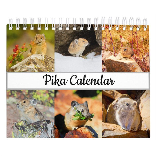 Pika Calendar (Cover)