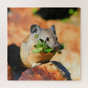 Pika Chewing On Plants Jigsaw Puzzle