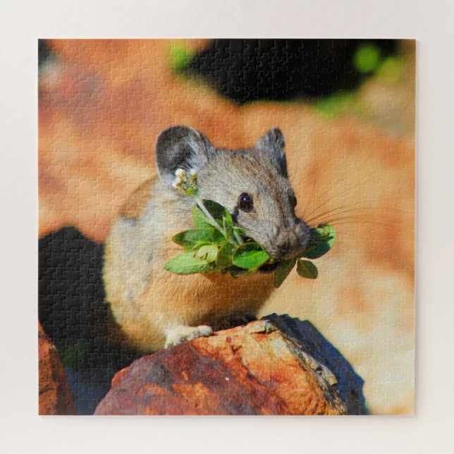 Pika Chewing On Plants Jigsaw Puzzle (Horizontal)