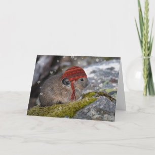 Pika Christmas Card