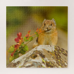 Pika Holding Leaves In Mouth Jigsaw Puzzle